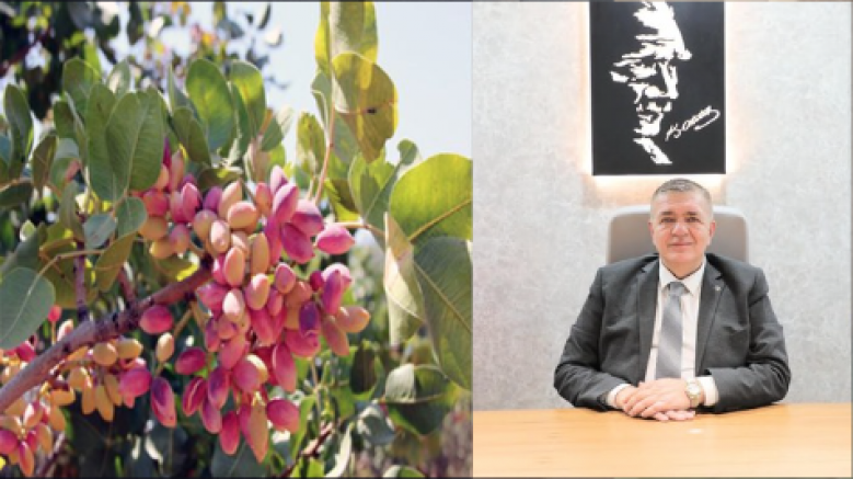 AKINCI: “ANTEP FISTIĞI, BU TOPRAKLARIN YEŞİL ALTINI VE EMEĞİN EN KIYMETLİ KARŞILIĞIDIR”