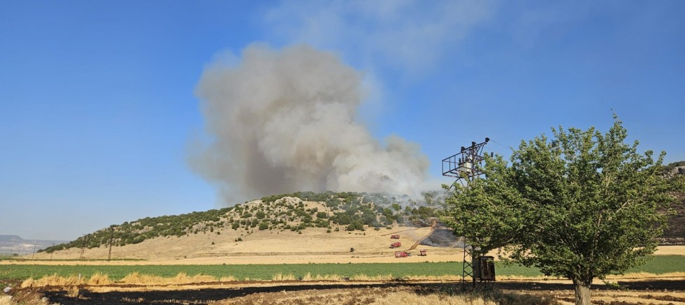 ANIZ YAKANLARA JANDARMADAN SUÇÜSTÜ