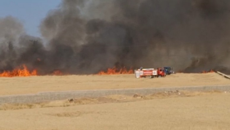 Araban Ovası’nda hasada hazır 50 dönüm buğday yandı