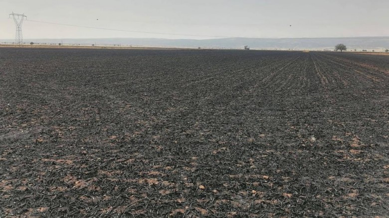 Araban Ovası'ndaki yangınların hasar tespit çalışmaları tamamlandı