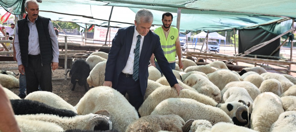 BAŞKAN TAHMAZOĞLU KURBAN FİYATLARINI AÇIKLADI