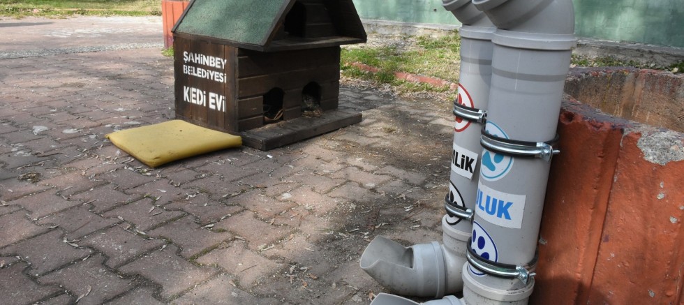 BAŞKAN TAHMAZOĞLU “SICAK HAVALAR HAYVANLARI DA OLUMSUZ ETKİLİYOR”