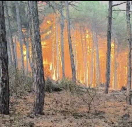 Bu acıya can dayanmaz: 11 şehidimiz var!