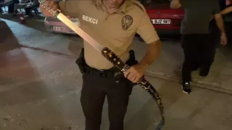 Daha 18 yaşında! Suriyeli şahsın üzerinden çıkan bekçiyi bile şaşırttı
