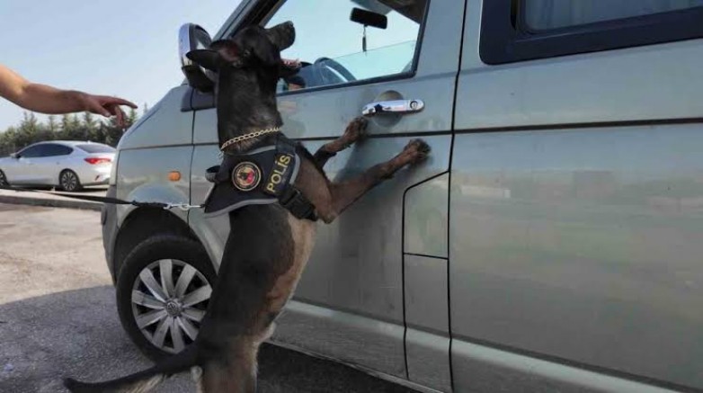 Dronla takip edilip operasyon yapıldı, koli koli uyuşturucu çıktı