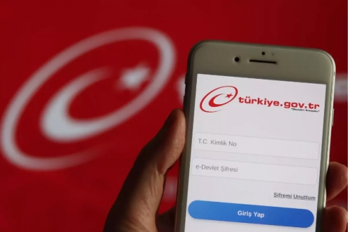 e-Devlet'ten yeni hizmet! Domuz eti kullanan restoranları listeleyecek