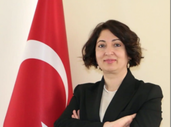 Elektrik Mühendisleri yeniden İslim Arıkan dedi!