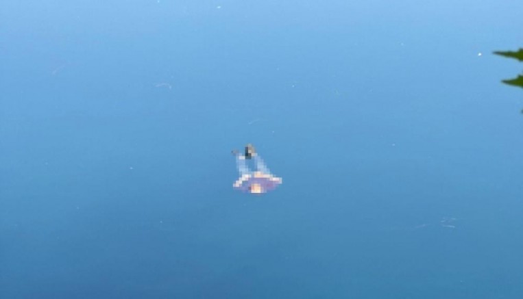 Fırat Nehri’nde Ceset Şoku: Ekipler Seferber Oldu