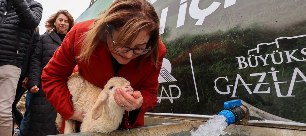  GAZİANTEP BÜYÜKŞEHİR İLE MERALARDA HAYVANLAR TEMİZ SUYA KAVUŞUYOR
