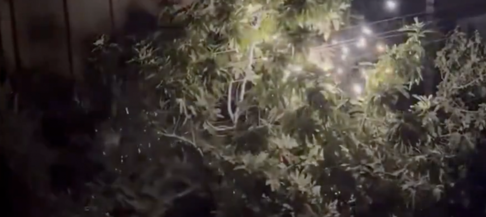 Gaziantep Gazikent Mahallesi’nde Elektrik Telleri Tehlike Saçıyor: Vatandaş Endişeli