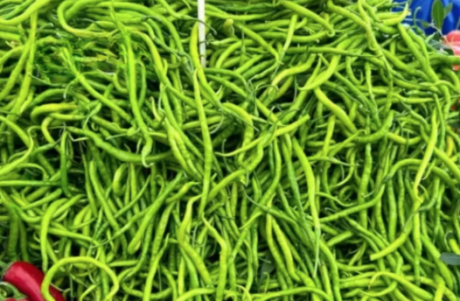 Gaziantep mutfağında yangın var!