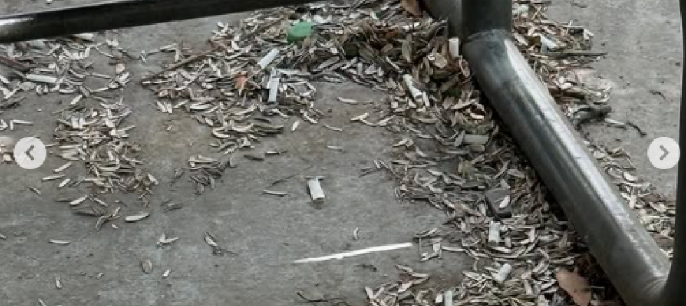 “Gaziantep’te 45 Yıllık Site Bahçesi Sahipsizliğin Kurbanı Oldu”