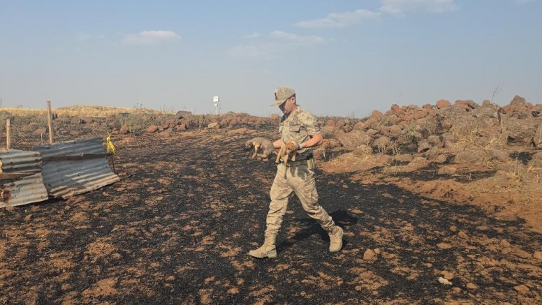 Gaziantep'te anız yangınında mahsur kalan köpekleri jandarma kurtardı