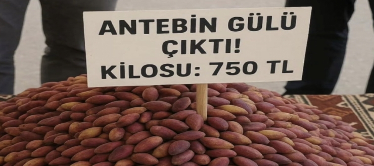 Gaziantep’te Antep Fıstığı Tezgahtaki Yerini Aldı: Kilosu 750 TL'den Satılıyor