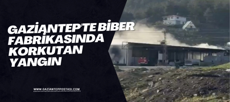 Gaziantep'te biber fabrikasında korkutan yangın
