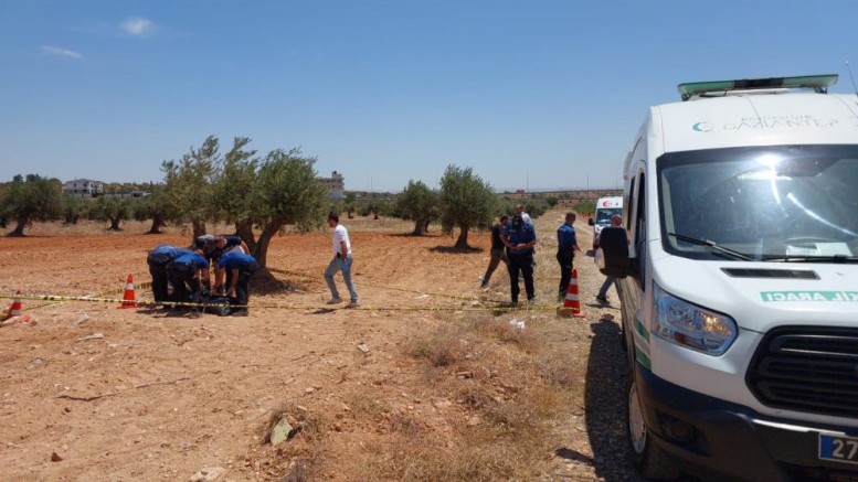 Gaziantep'te bir genç zeytin tarlasında ölü bulundu