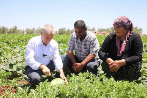 Gaziantep'te domates, biber, patlıcan, salatalık, kavun ve karpuz hasadı başladı