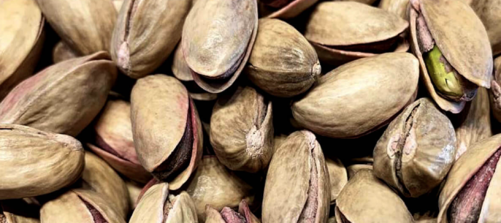 Gaziantep’te Fıstık Alarmı: Katmercilerden Kritik Uyarı