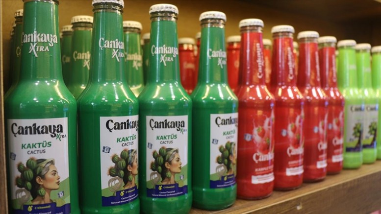 Gaziantep'te genç girişimci nostaljik yerli gazozları raflara taşıdı