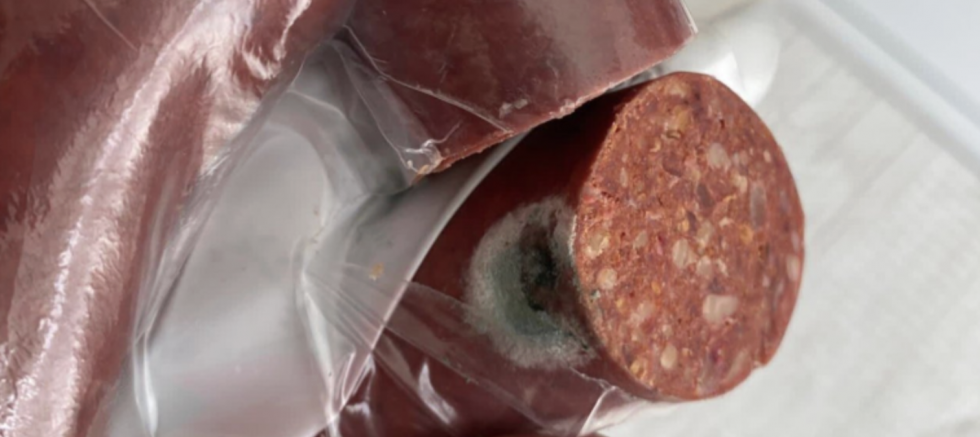 Gaziantep'te gündem oldu! Şaşırtan görüntü ortaya çıktı