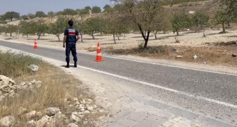 Gaziantep'te jandarmanın dron destekli 'yeşil altın' nöbeti devam ediyor