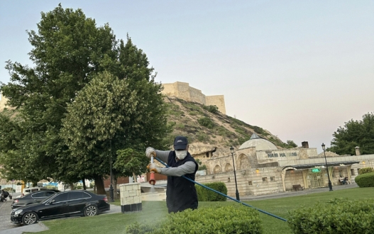 Gaziantep’te Kene Alarmı