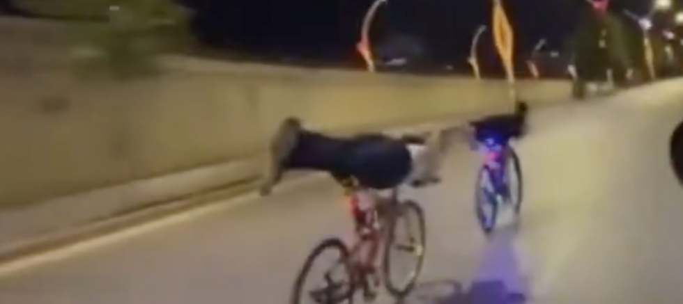 Gaziantep’te Köprü Üstü Yarış Pisti Oldu: Mahalleli Şikayetçi