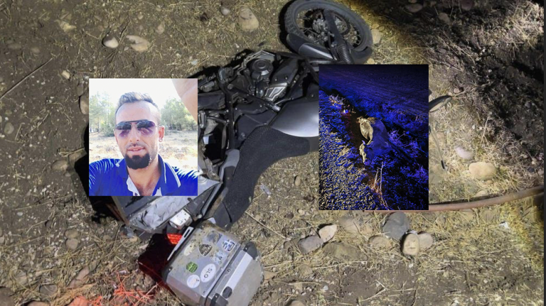 Gaziantep'te motosiklet ineğe çarptı: Sürücü hayatını kaybetti, inek telef oldu