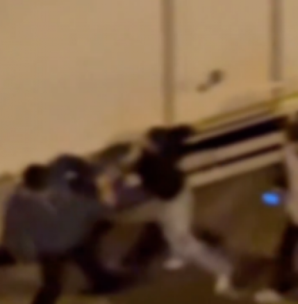 Gaziantep'te o mahallede tartışma ve kavga çıktı