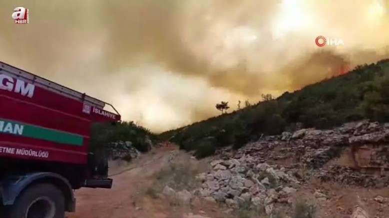 Gaziantep'te orman yangını: Yangına havadan ve karadan müdahale ediliyo