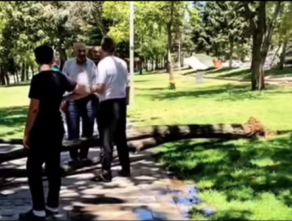 Gaziantep’te Parkta Ağaç Devrildi: Vatandaşlar Korku Dolu Anlar Yaşadı