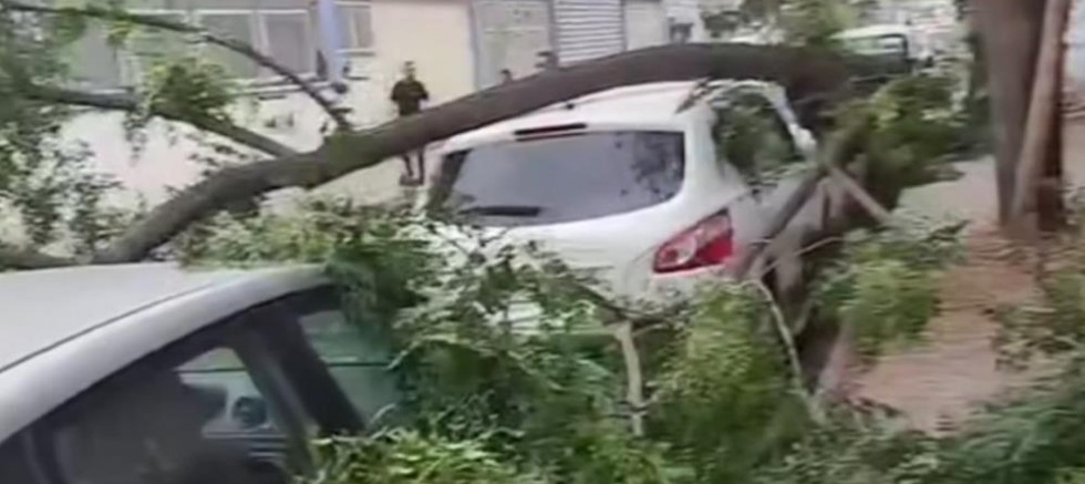 Gaziantep'te şiddetli fırtına: Ağaçlar devrildi, araçlar zarar gördü, toz bulutu etrafı kapladı