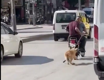 Gaziantep’te Vicdansızlık! Hayvanı Motora Bağlayıp Sürüklediler