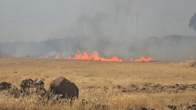 Gaziantep'teki çıkan anız yangını fabrikaları tehdit etti