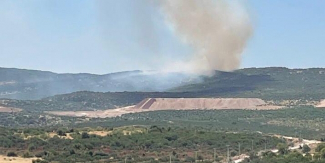 Gaziantep Üçgöze'de Orman Yangını: Duman Köyü Sardı