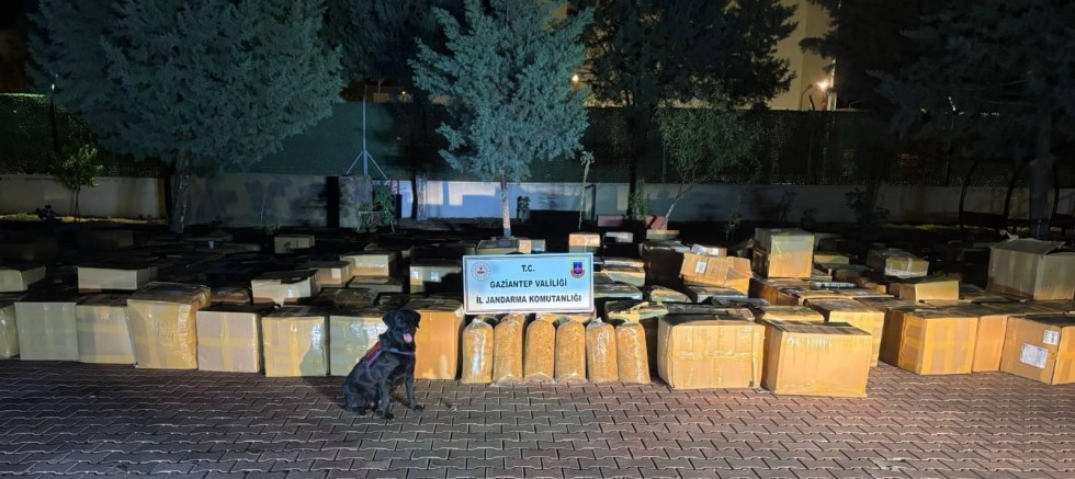 JANDARMA’DAN KAÇAK TÜTÜN OPERASYONU: 7 TONUN ÜZERİNDE ELE GEÇİRİLDİ