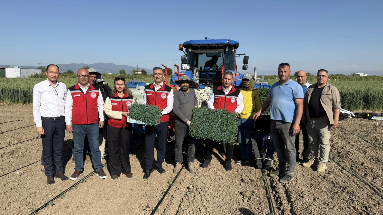 Manisa’da Domates Fideleri Toprakla Buluştu