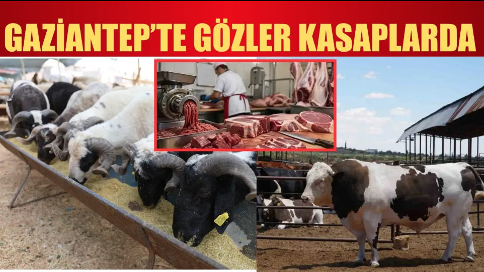 Gaziantep’te kurban kesim ücretleri ne kadar oldu?