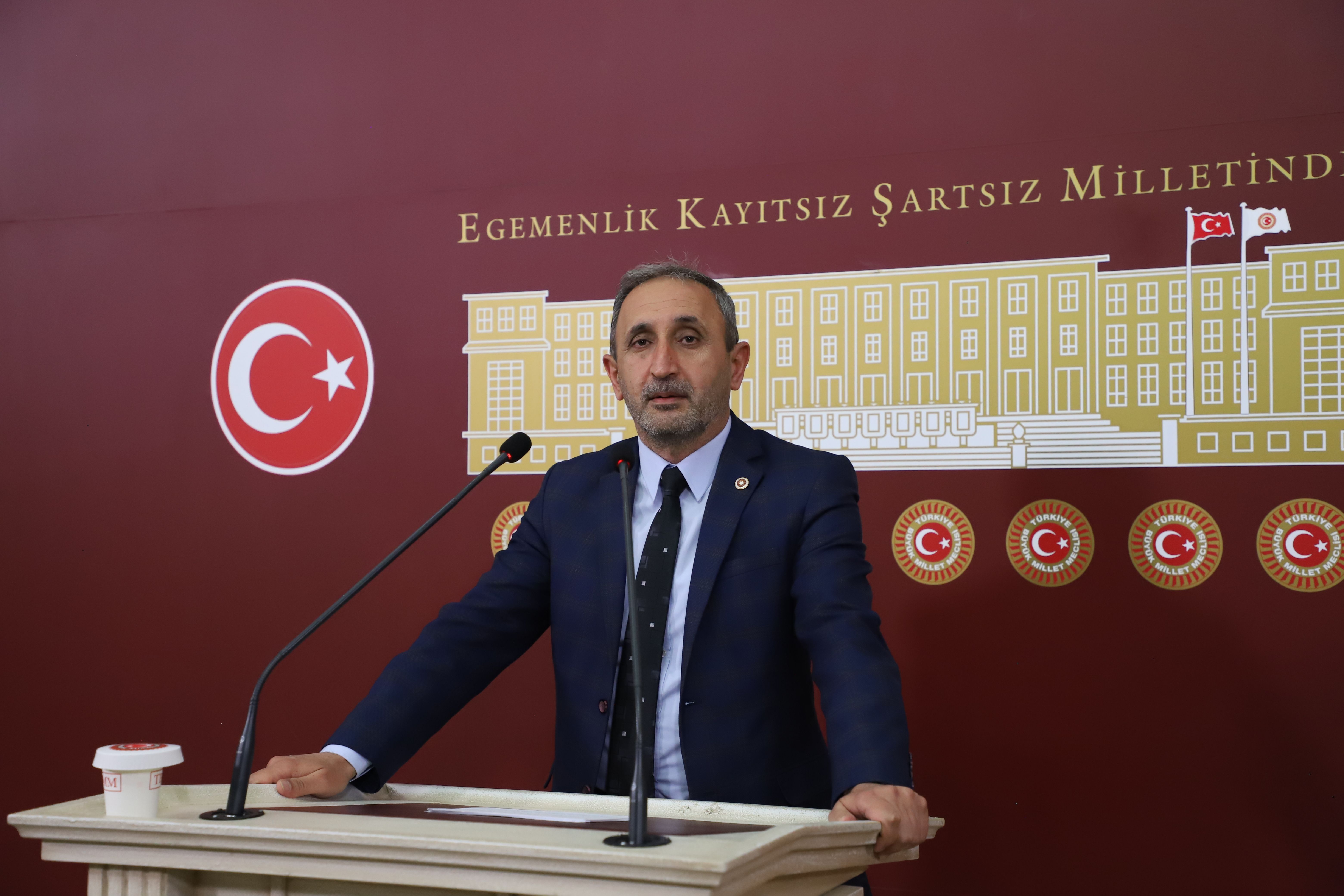 Başıboş Köpek Sorunu TBMM Gündeminde: Demir’den İki Bakanlığa Soru Önergesi