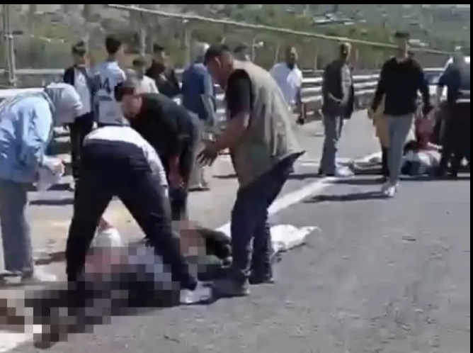 Kurbanlık yüklü kamyonet devrildi: Ölü ve yaralılar var
