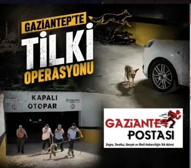 Gaziantep’te Tilki Operasyonu