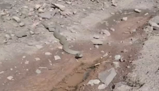Gaziantep'te gündem yaratan olay