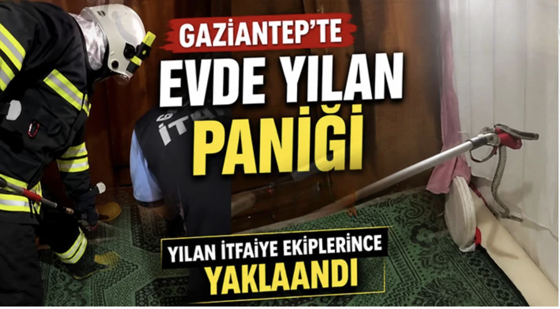 Gaziantep'te evde yılan paniği