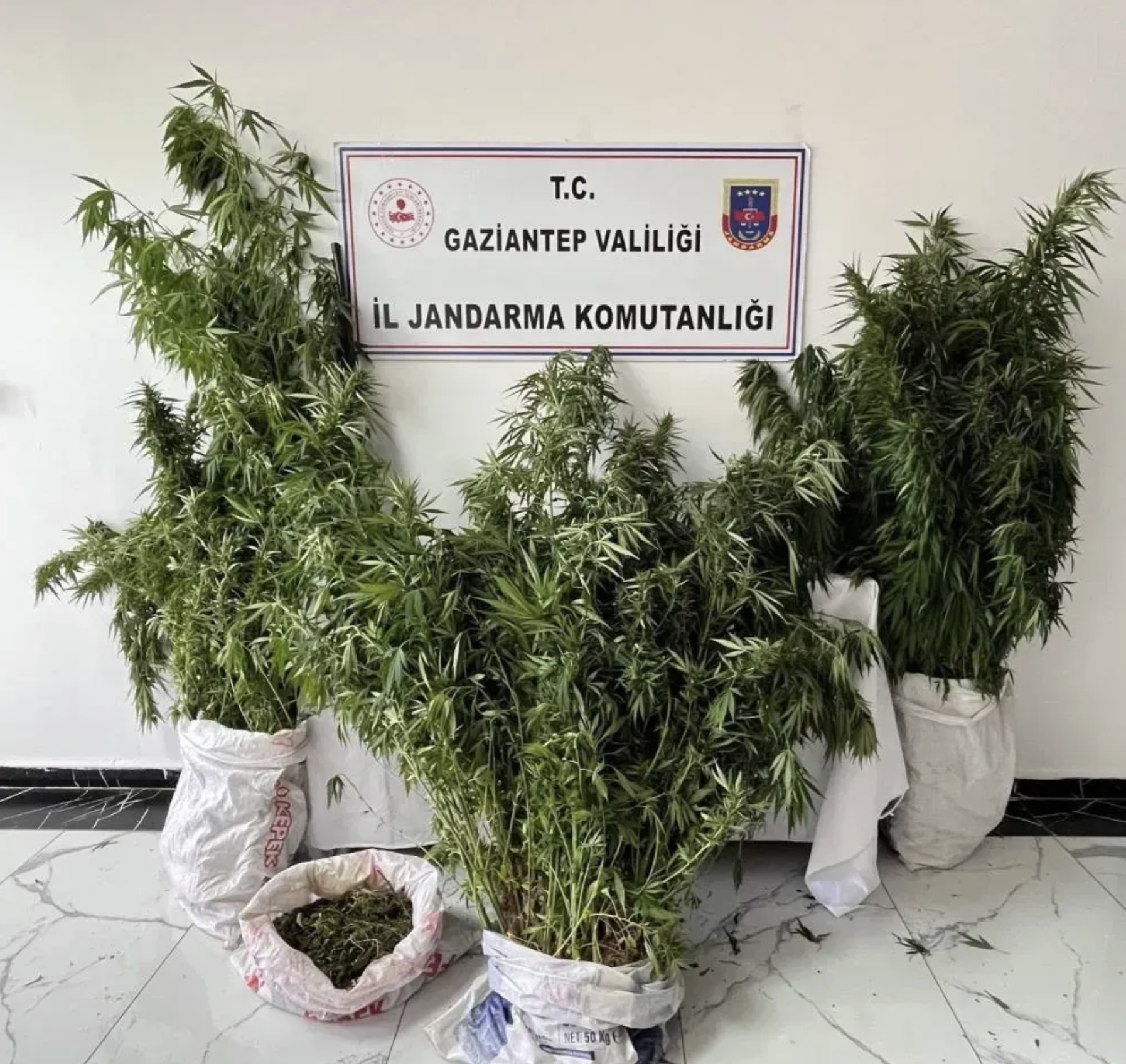 Gaziantep'te dev operasyon! görenler hayrete düştü