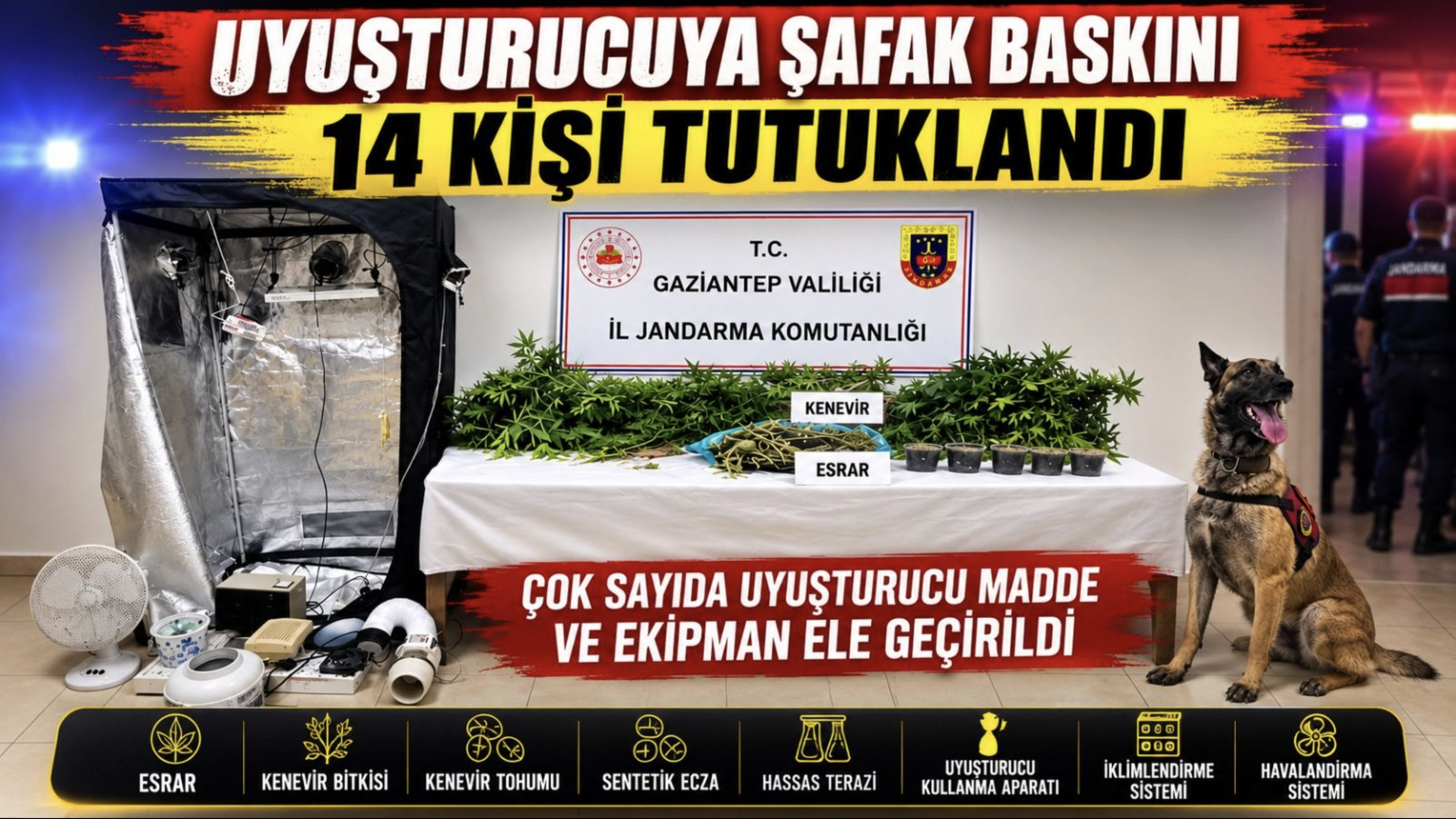 Jandarmadan dev uyuşturucu operasyonu: 14 kişi tutuklandı