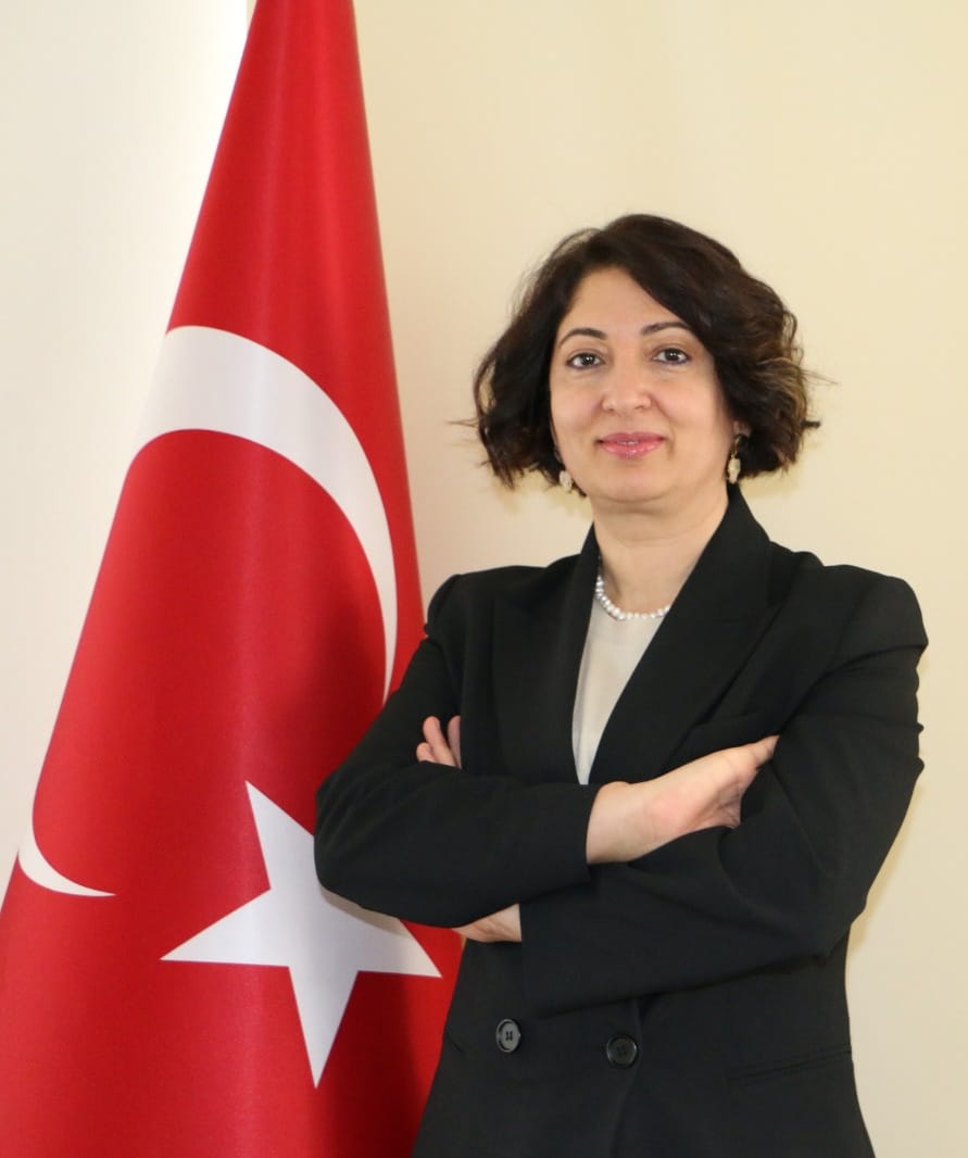 Türkiye’de Elektrikli Araçlar Toplamda Kaç kWh Elektrik Tüketti?