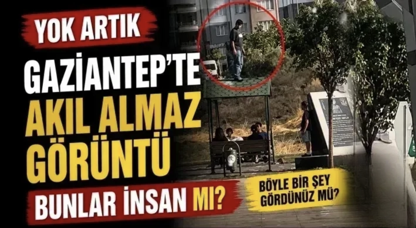 Yok artık! Gaziantep'te akıl almaz görüntü