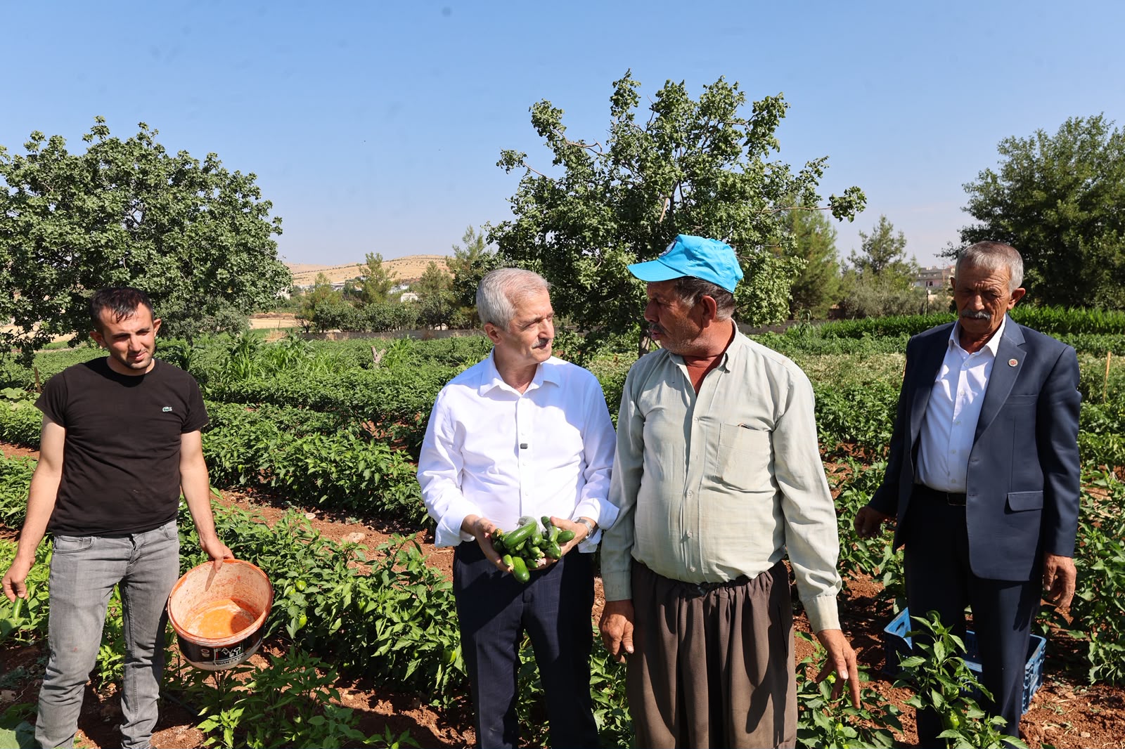 ŞAHİNBEY’DEN ÇİFTÇİLERE 53 MİLYONDAN FAZLA FİDE DESTEĞİ