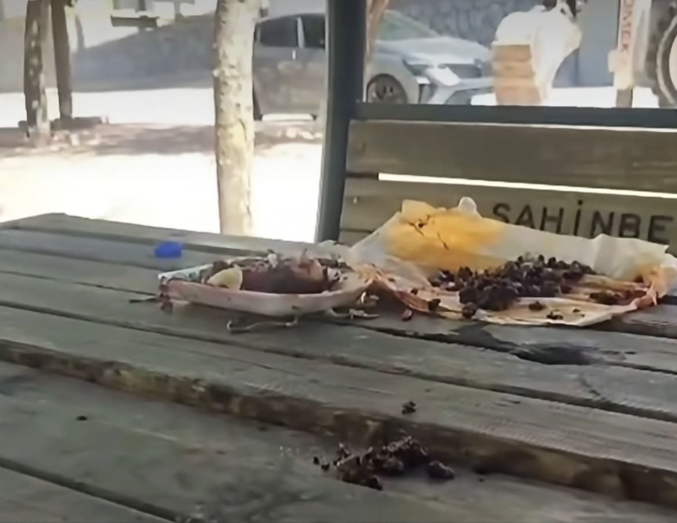 Gaziantep'te büyük saygısızlık!
