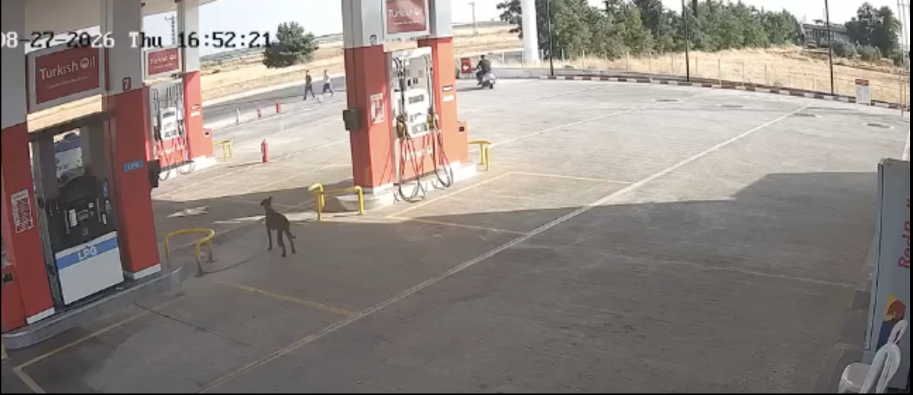 Gaziantep'te Yol üstündeki kavga kameraya yansıdı! 2 ölü 5 yaralı!